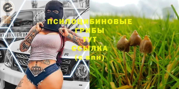 гашишное масло Алексеевка