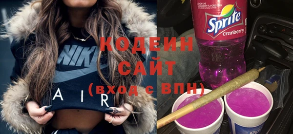 соль ск Арсеньев