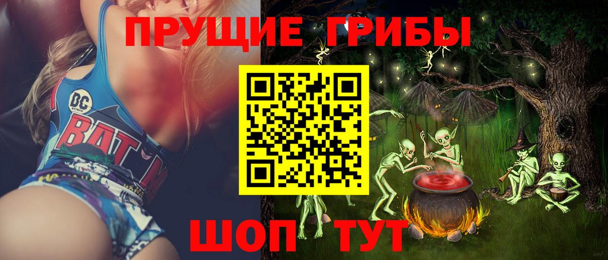 Псилоцибиновые грибы GOLDEN TEACHER Волхов