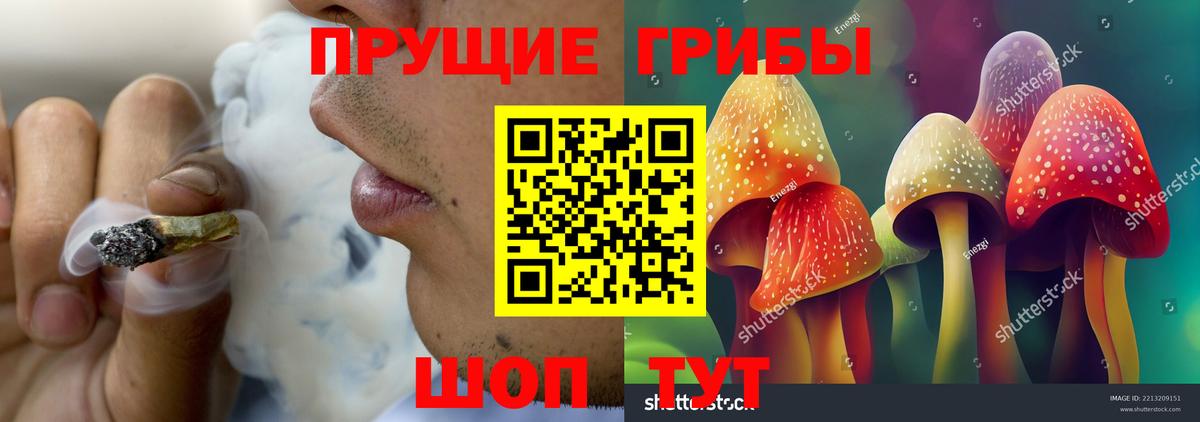 Псилоцибиновые грибы Psilocybe  Вход с VPN  купить  сайты  Волхов 
