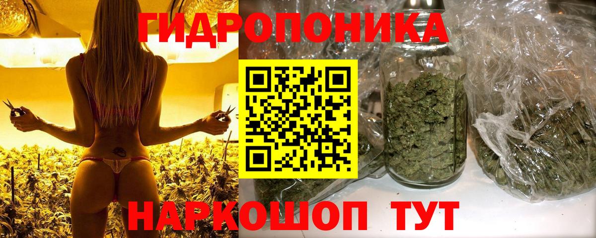 Каннабис Ganja  Канабис гибрид  Волхов  Шишки марихуана MAZAR  Вход с VPN 